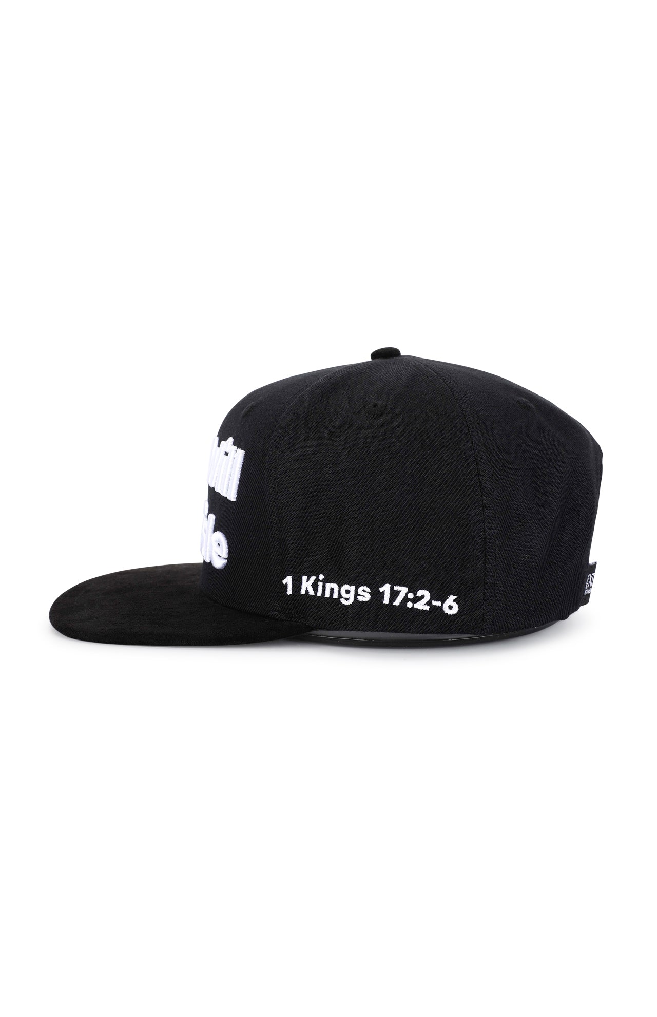 God Will Provide Panda Cap